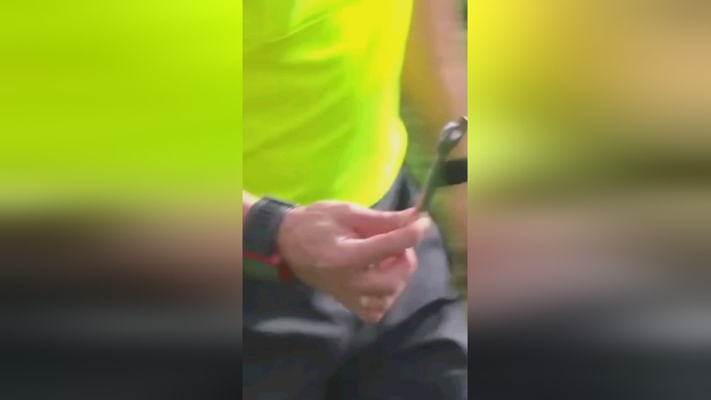 尔特马德