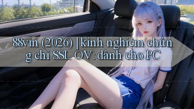 88vin (2026) kinh nghiệm chứng chỉ SSL OV dành cho PC