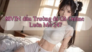 88vin  đấu trường đá gà online luôn mở 24／7