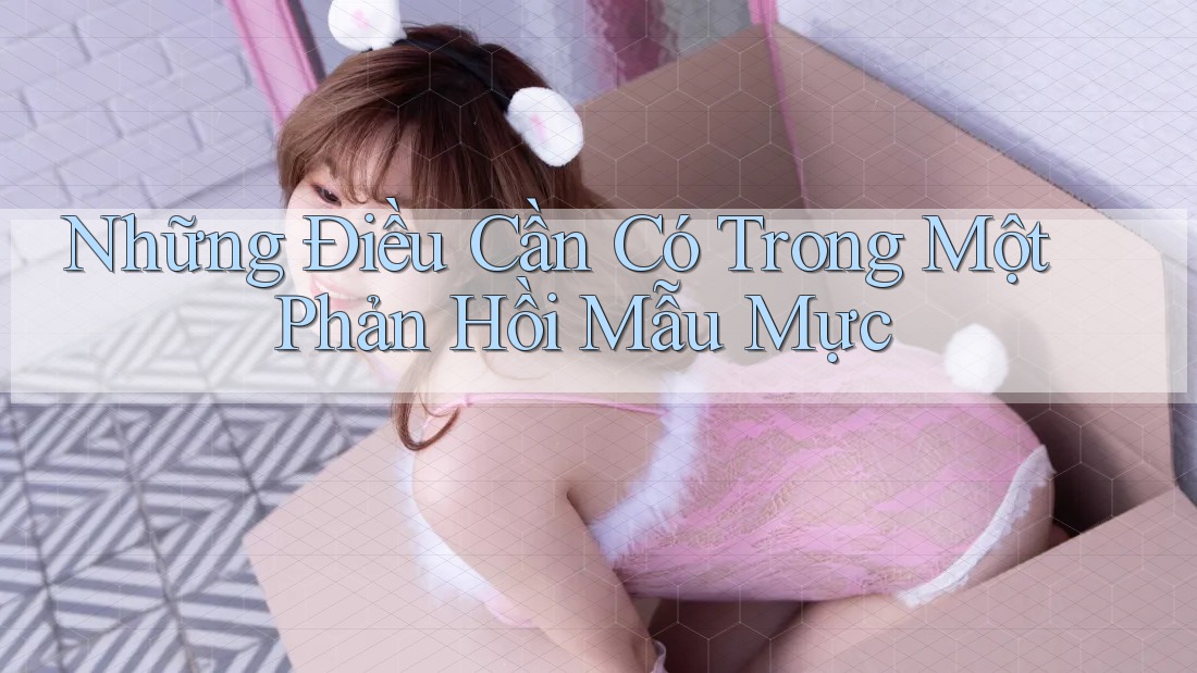 Những Điều Cần Có Trong Một Phản Hồi Mẫu Mực