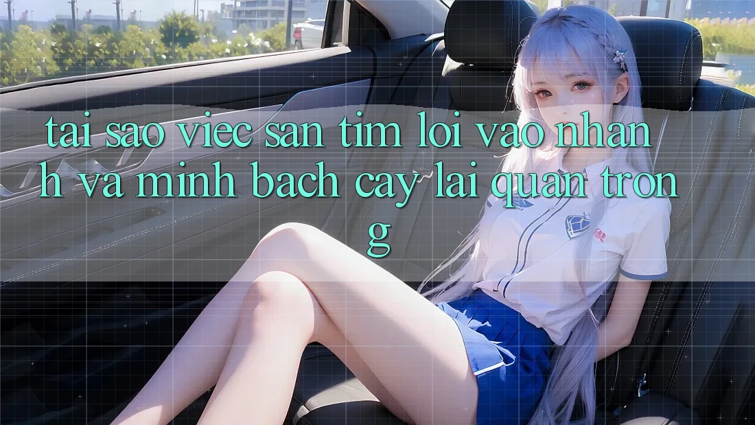 Tại Sao Việc Săn tìm “Lối Vào Nhanh Và Minh bạch cậy” Lại Quan Trọng?