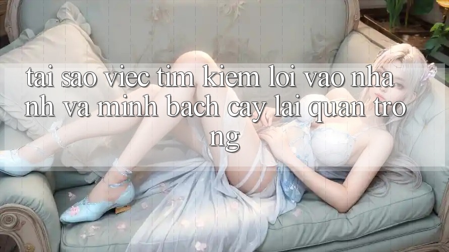 Tại Sao Việc Tìm Kiếm “Lối Vào Nhanh Và Minh bạch cậy” Lại Quan Trọng?