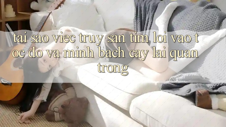 Tại Sao Việc Truy săn tìm “Lối Vào Tốc độ Và Minh bạch cậy” Lại Quan Trọng?