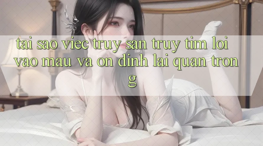 Tại Sao Việc Truy săn truy tìm “Lối Vào Mau Và Ổn định” Lại Quan Trọng?