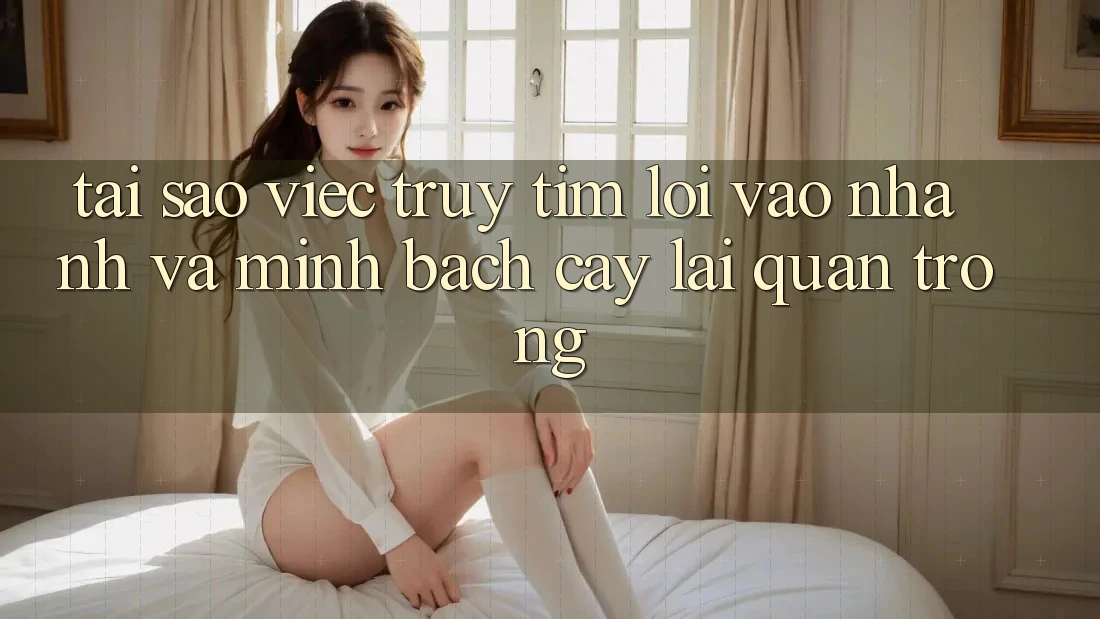Tại Sao Việc Truy tìm “Lối Vào Nhanh Và Minh bạch cậy” Lại Quan Trọng? Tại Sao Việc Truy tìm “Lối Vào Nhanh Và Minh bạch cậy” Lại Quan Trọng?