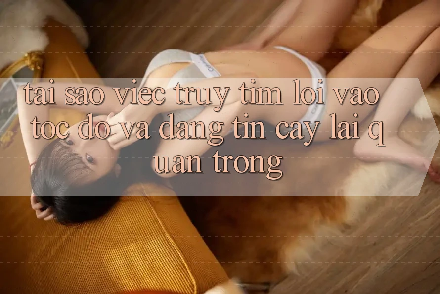 Tại Sao Việc Truy tìm “Lối Vào Tốc độ Và Đáng tin cậy” Lại Quan Trọng?
