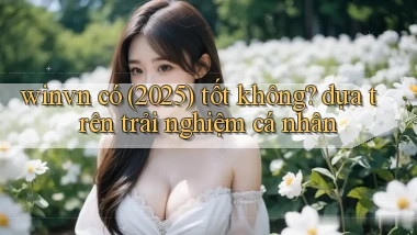 winvn có (2025) tốt không dựa trên trải nghiệm cá nhân